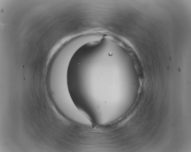 X0000083061414200702232009