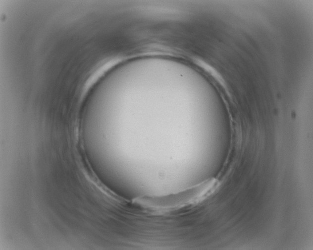 X0000083061415200702232009