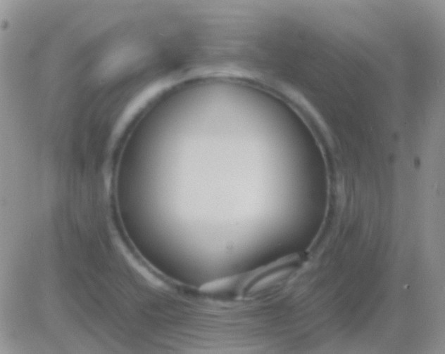 X0000083061416200702232009