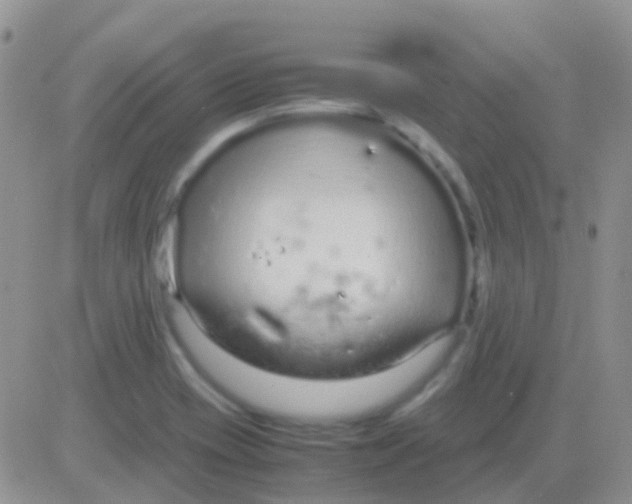 X0000083061417200702232009