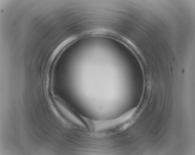 X0000083061418200702232009