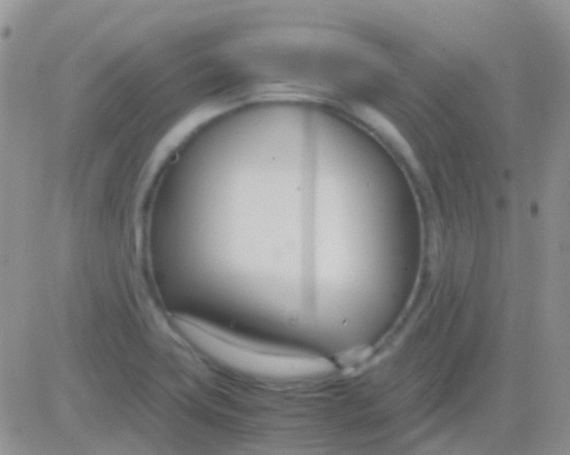 X0000083061419200702232009