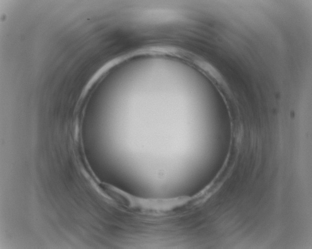 X0000083061420200702232009