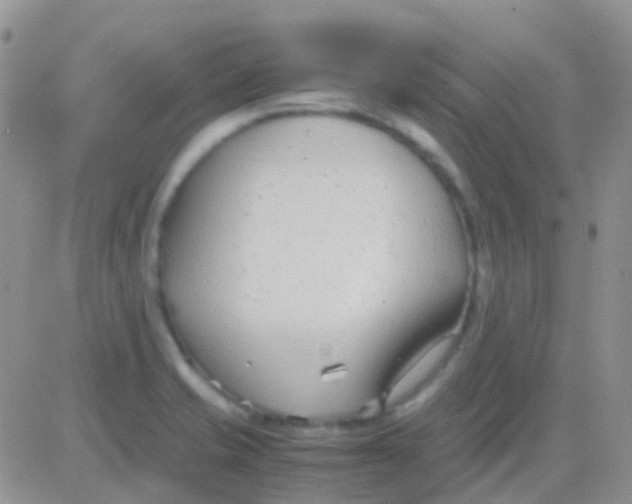 X0000083061421200702232009