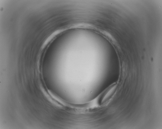 X0000083061422200702232009