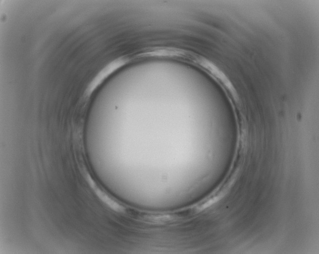 X0000083061425200702232010