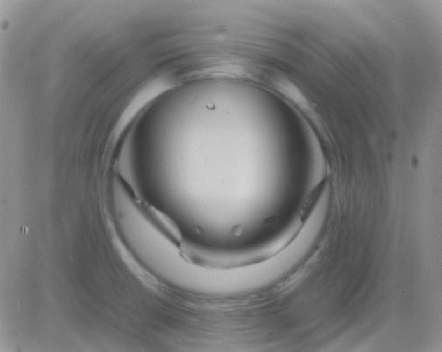 X0000083061426200702232010