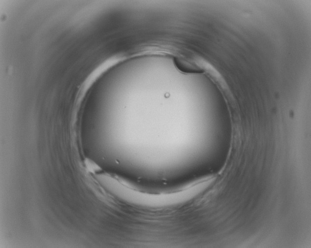 X0000083061427200702232010