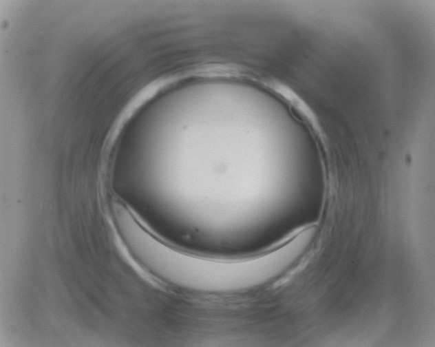 X0000083061429200702232010