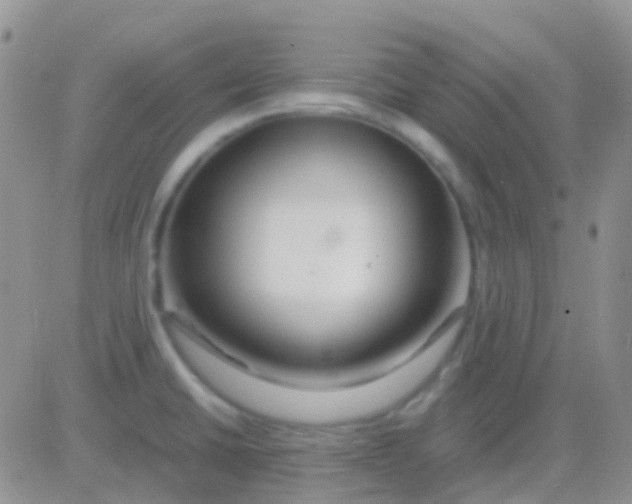 X0000083061430200702232010