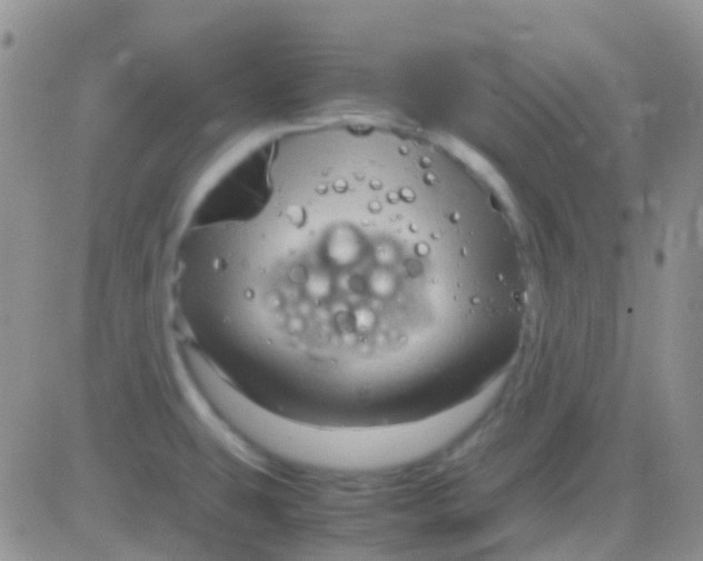 X0000083061431200702232010