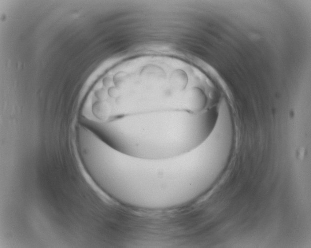 X0000083061432200702232010