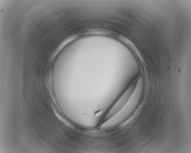 X0000083061433200702232010