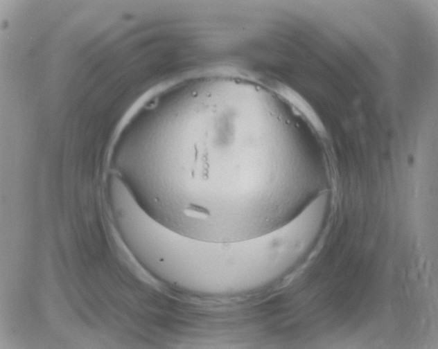 X0000083061436200702232010