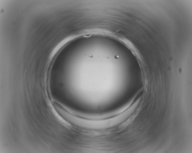 X0000083061438200702232010