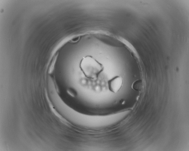 X0000083061439200702232010