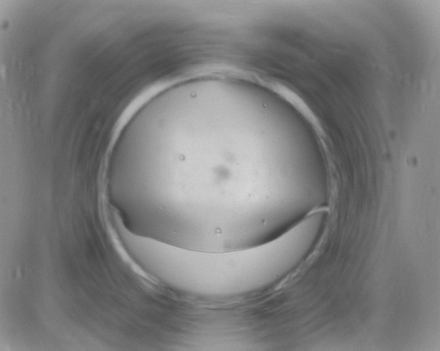 X0000083061440200702232010