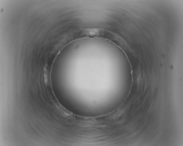 X0000083061442200702232009