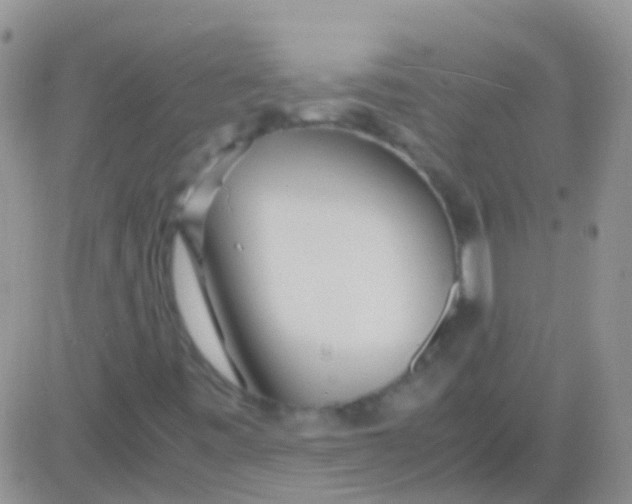 X0000083061443200702232009