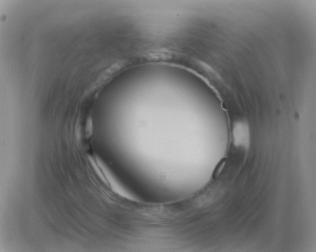 X0000083061444200702232009