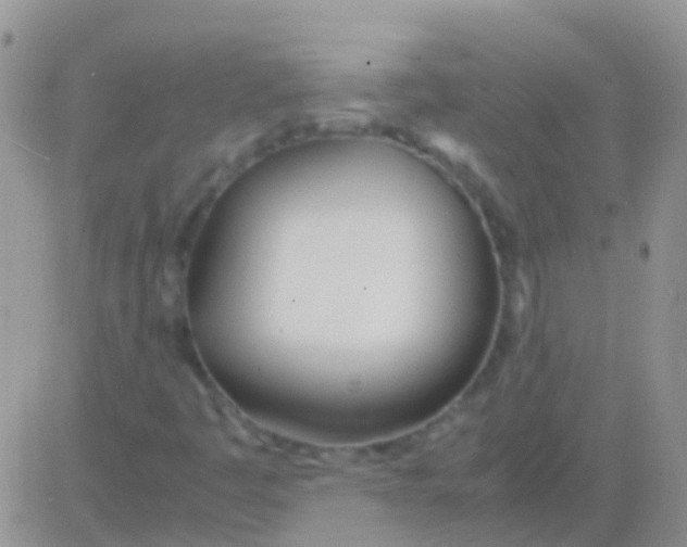 X0000083061445200702232009