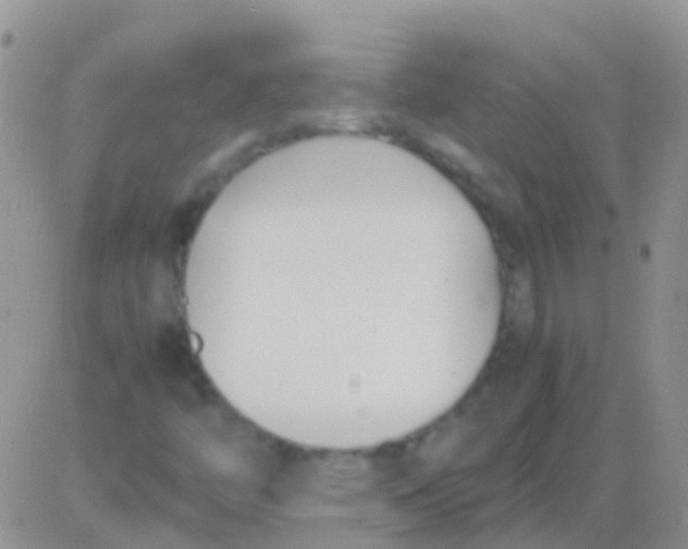 X0000083061446200702232009