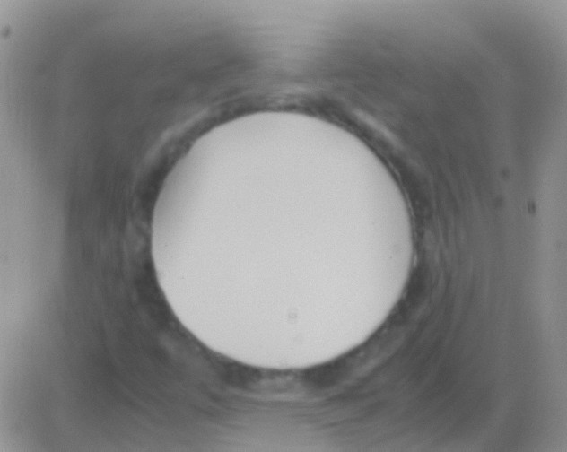 X0000083061447200702232009