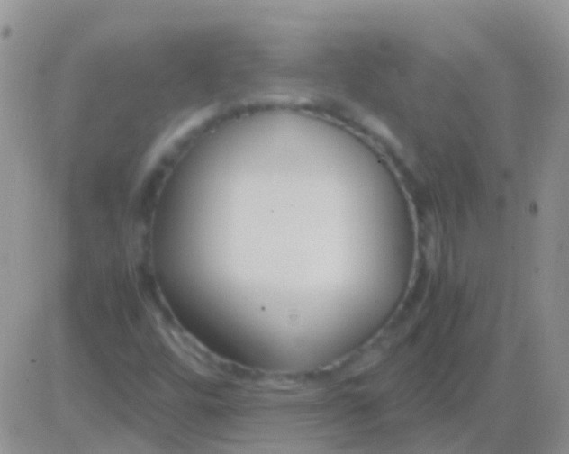 X0000083061448200702232009