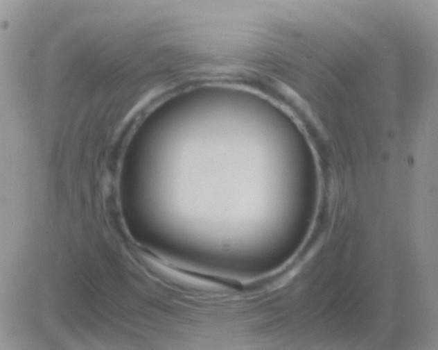 X0000083061449200702232009