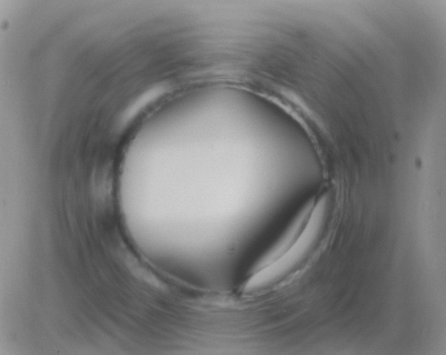 X0000083061450200702232009