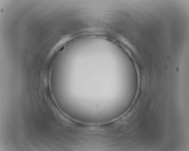 X0000083061451200702232009