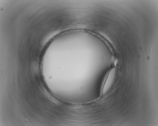 X0000083061452200702232009