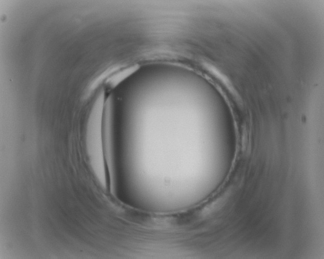 X0000083061453200702232009