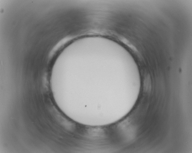 X0000083061454200702232009