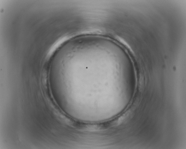 X0000083061455200702232009