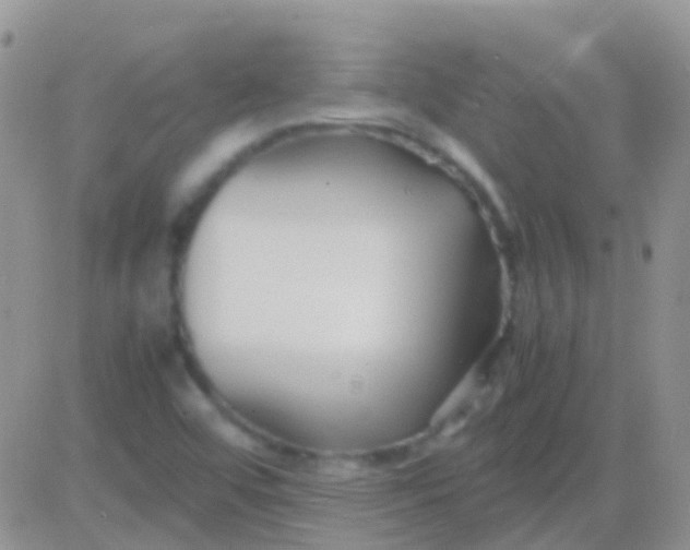 X0000083061456200702232009