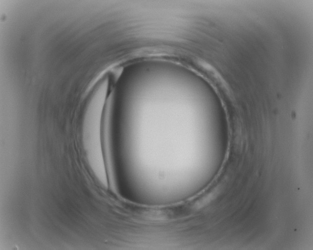 X0000083061457200702232009