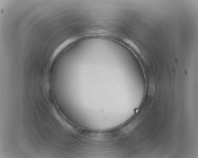 X0000083061458200702232009