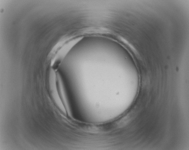 X0000083061459200702232009