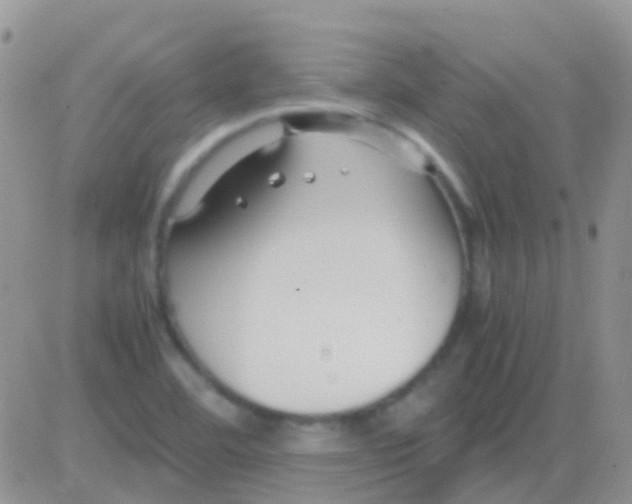 X0000083061460200702232009