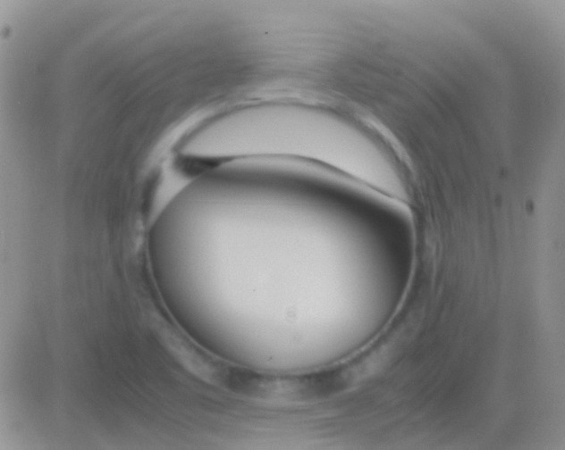 X0000083061461200702232009