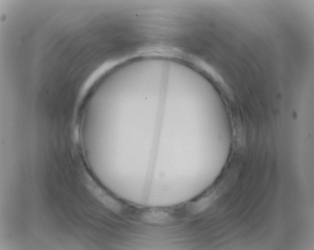 X0000083061462200702232009