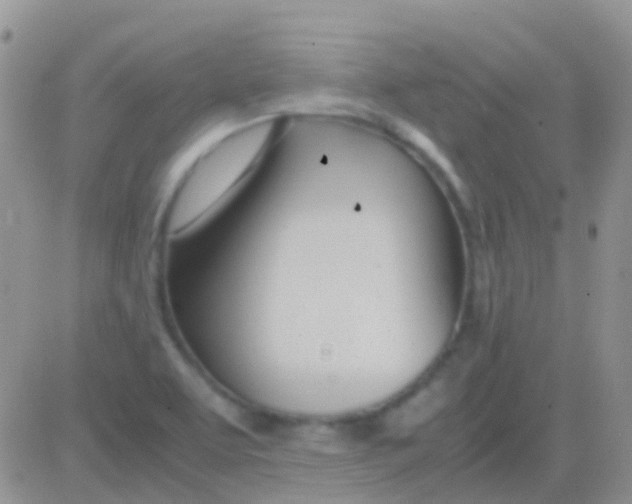 X0000083061463200702232009