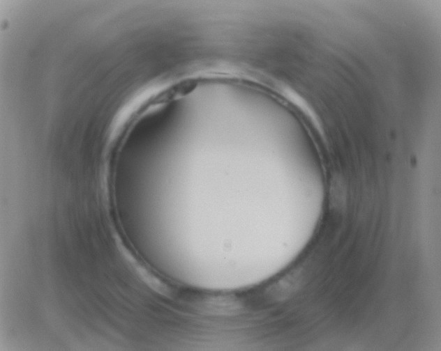 X0000083061464200702232009