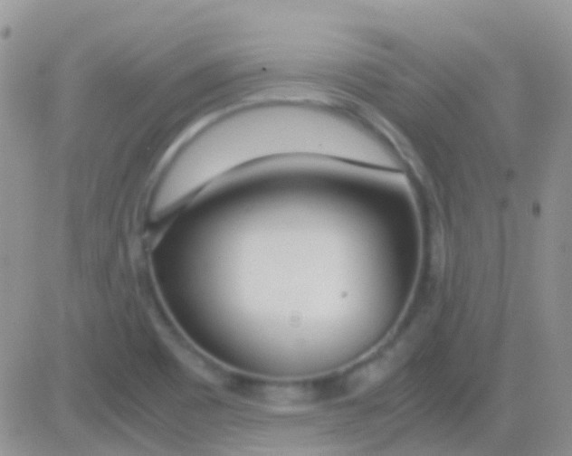 X0000083061465200702232009