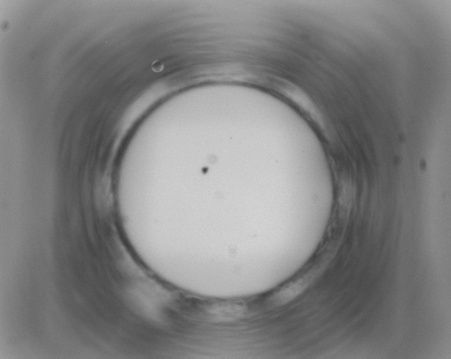 X0000083061466200702232009