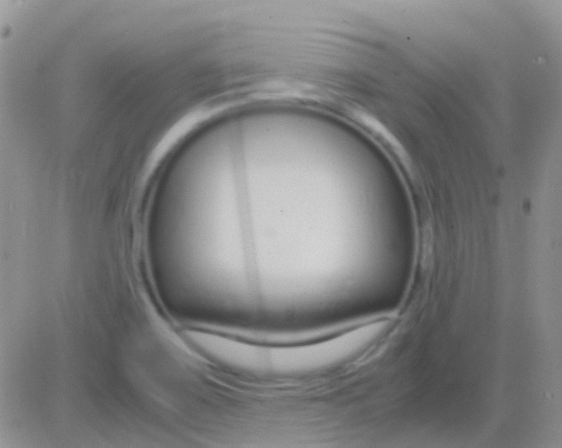 X0000083061467200702232009