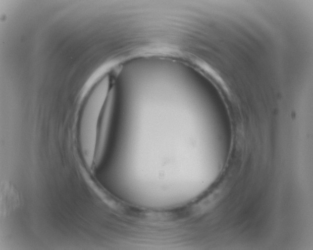 X0000083061469200702232009