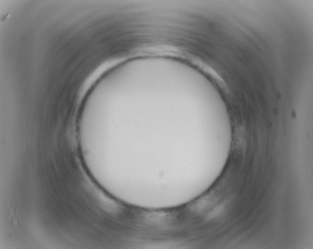 X0000083061470200702232009