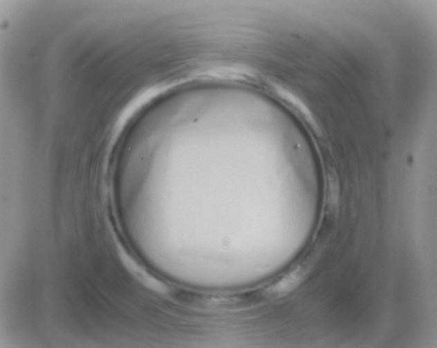 X0000083061471200702232008